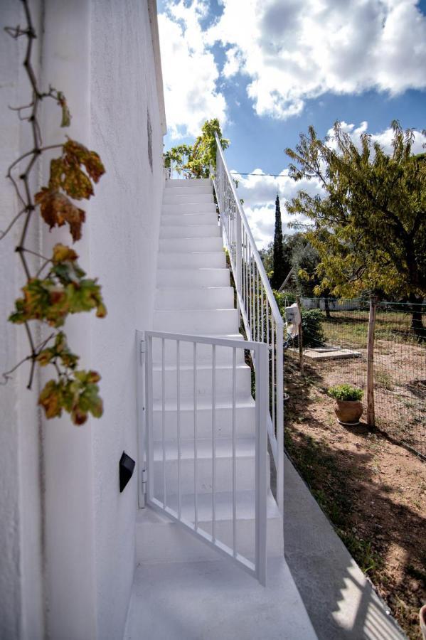 Villa Tommasina Carovigno Kültér fotó