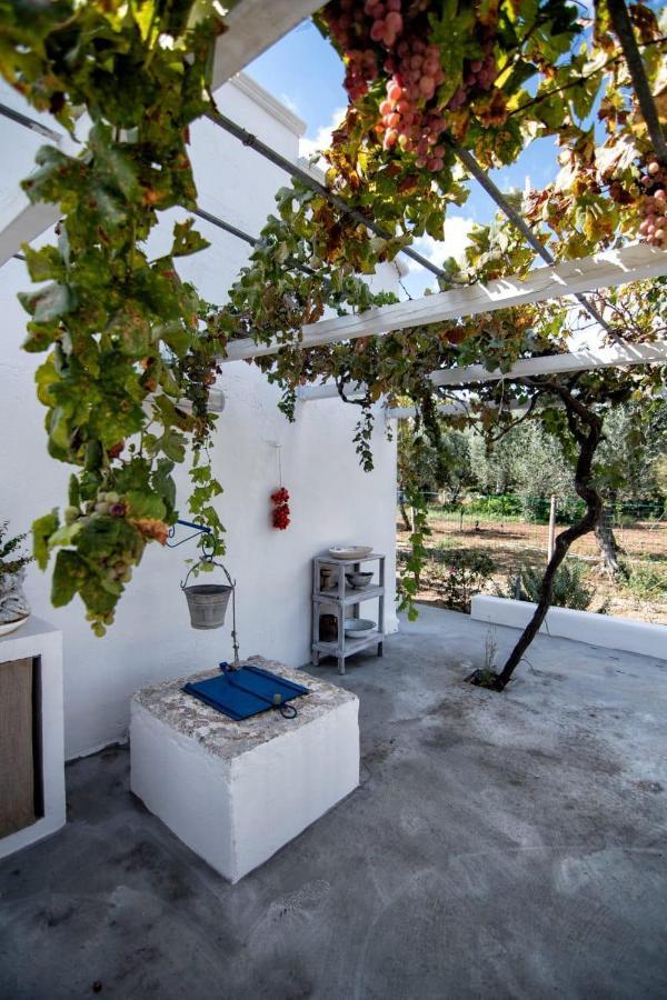 Villa Tommasina Carovigno Kültér fotó